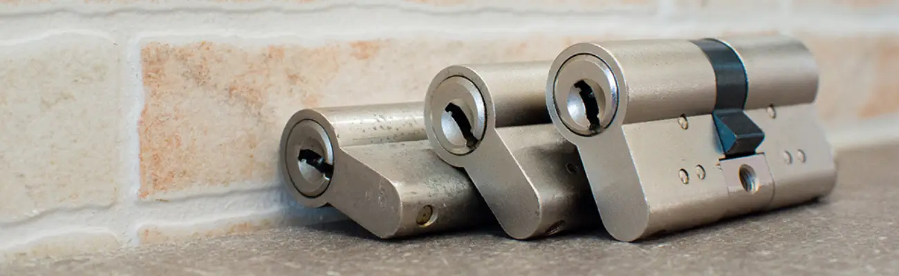 Amaestramientos en Alicante Amaestramientos en Alicante