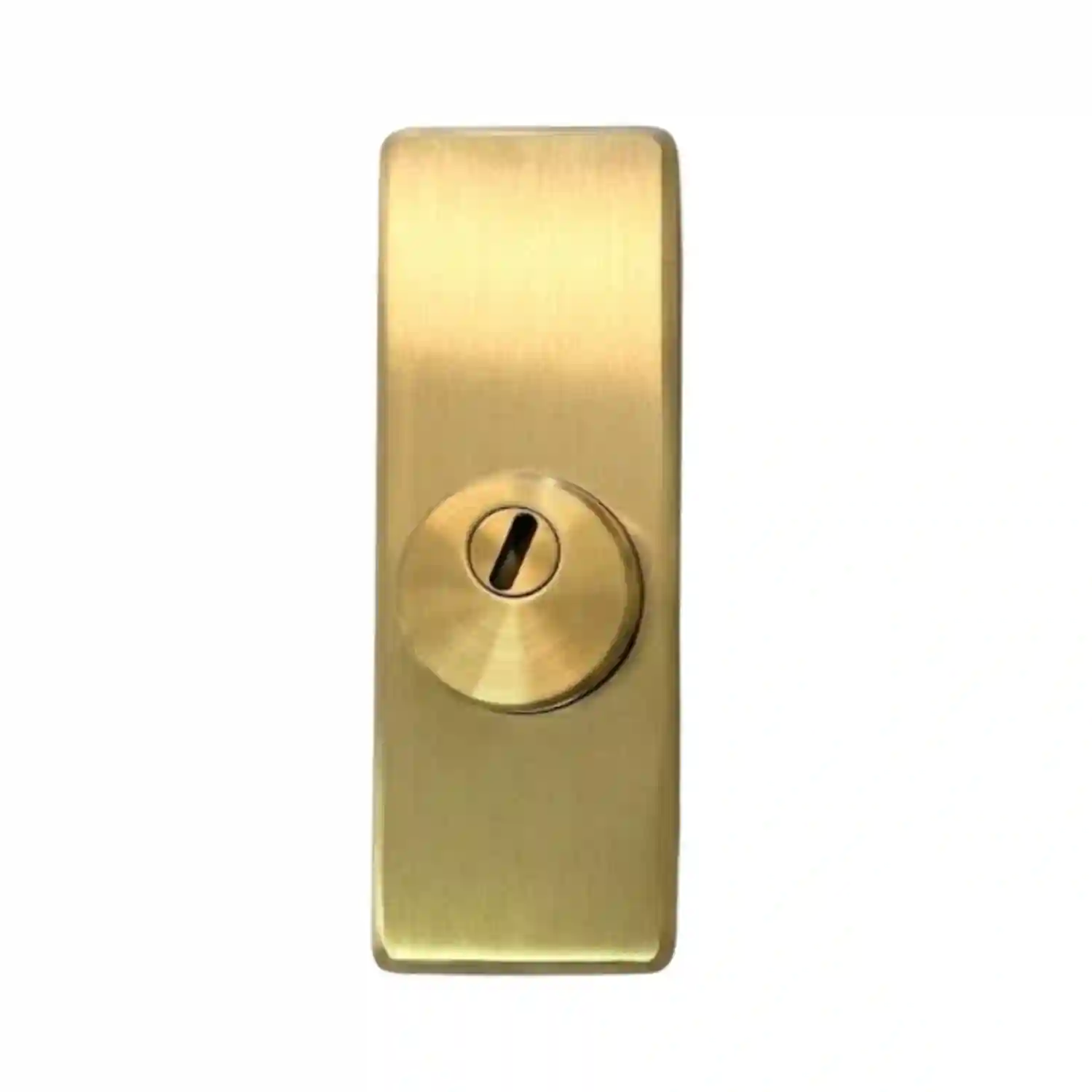 escudo boxer dmc dorado escudo de seguridad boxer placa larga